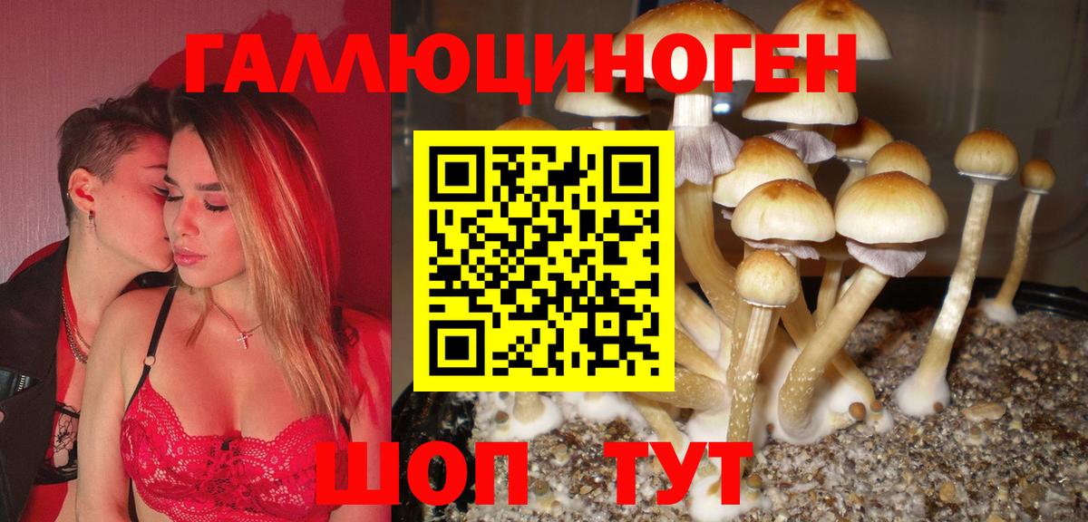 Галлюциногенные грибы мухоморы  Вход с VPN  наркошоп  Югорск  Псилоцибиновые грибы GOLDEN TEACHER 